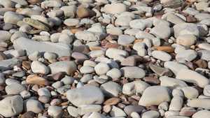 St Audries pebbles